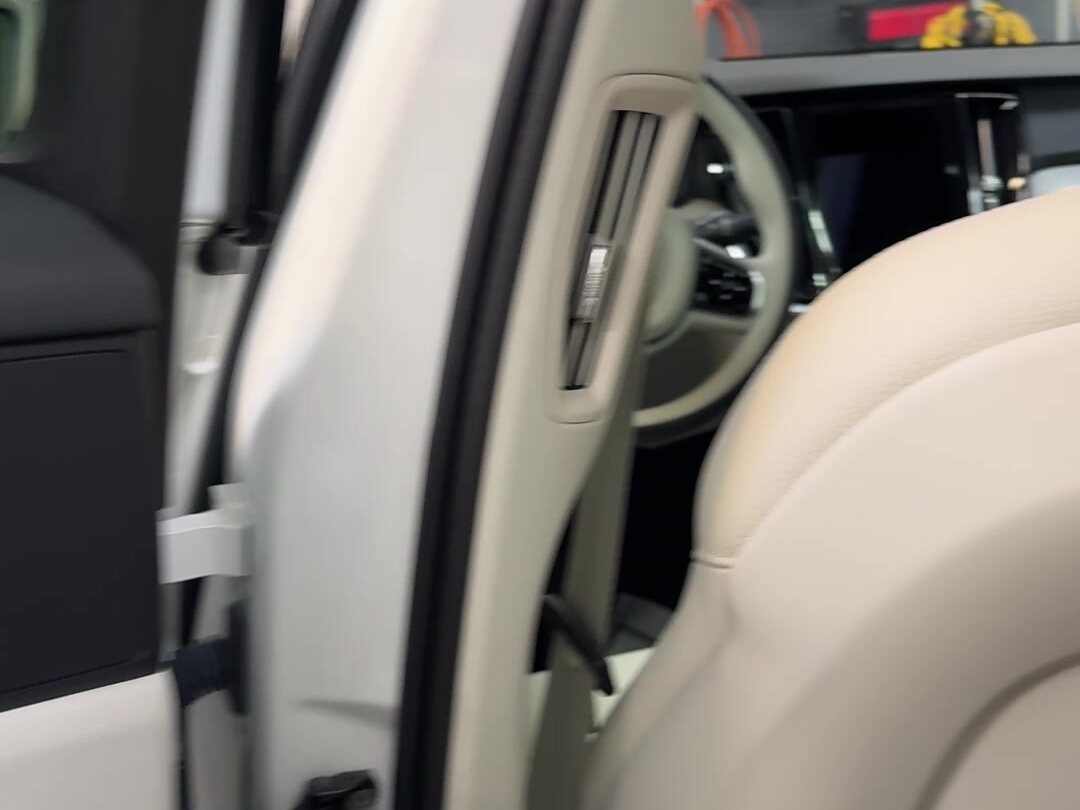 Deep interior cleaning detail